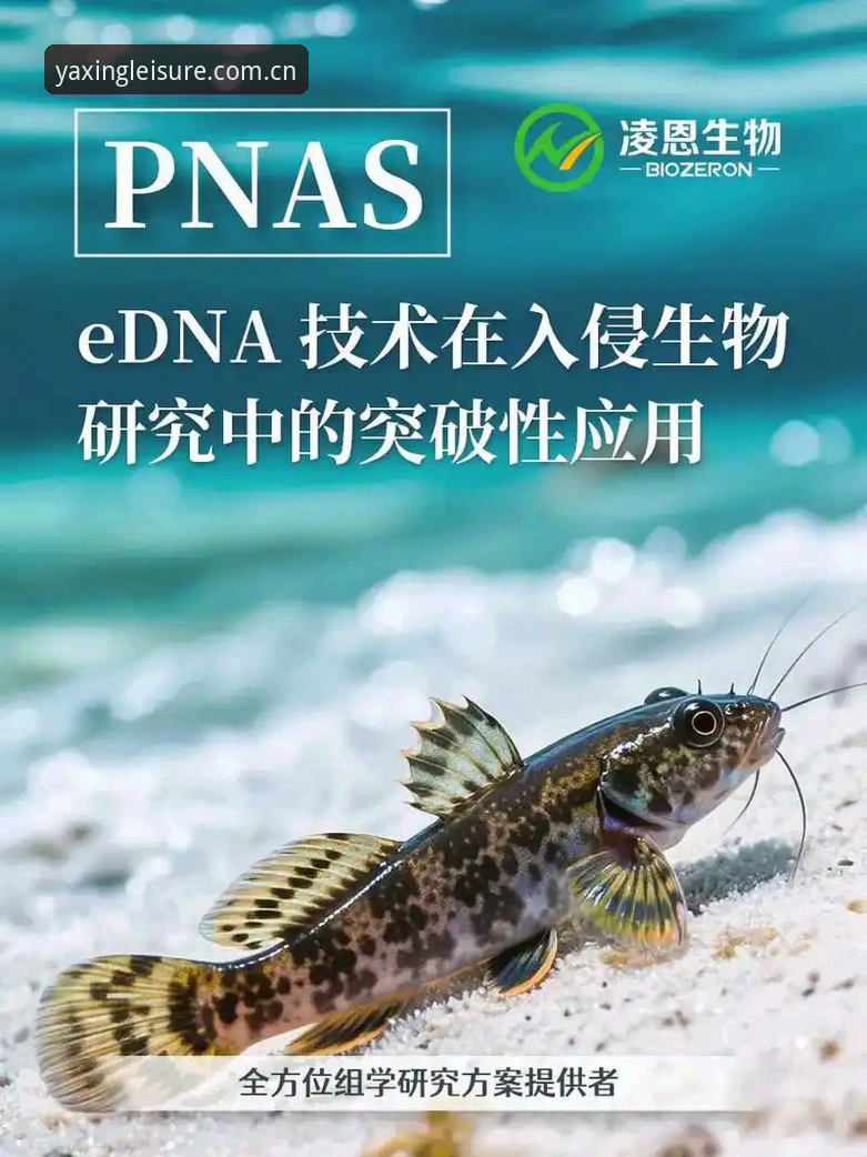 揭秘亚星体育安卓版背后的技术革新：从44.9MB到全场景娱乐生态的突破